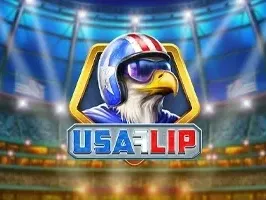 USA Flip screenshot